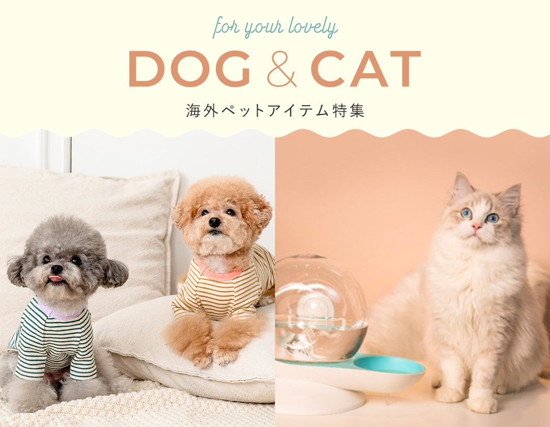 愛犬 愛猫におしゃれでかわいいペット用品を ハイブランド 韓国ブランドも Buyma