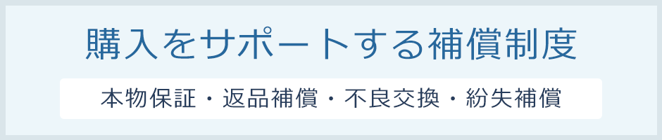 PSA10】セレビィ V プロモ ポケモンカード 管理番号P728 日本限定 38.0